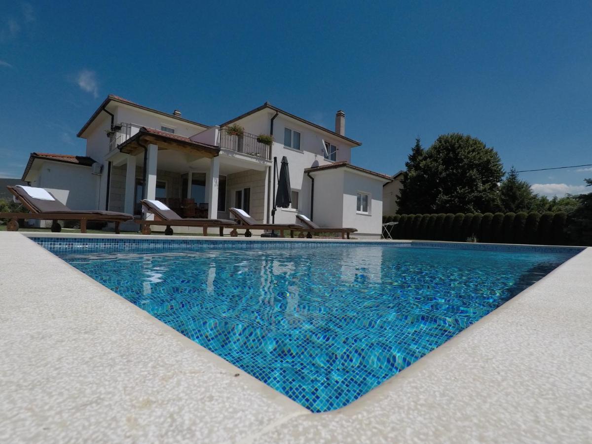 Villa Latica Donji Prolozac Exterior photo